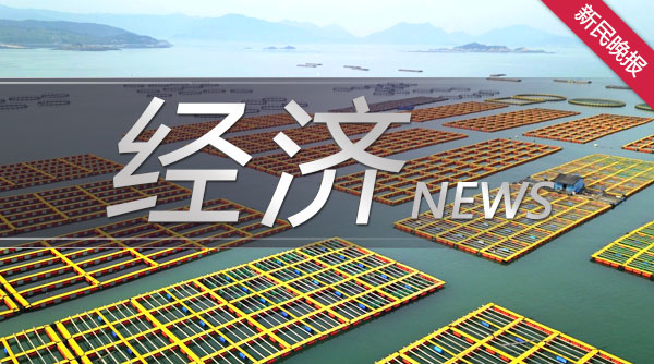 信息化浪潮下推动移动化办公发展 金山办公发布数字办公平台